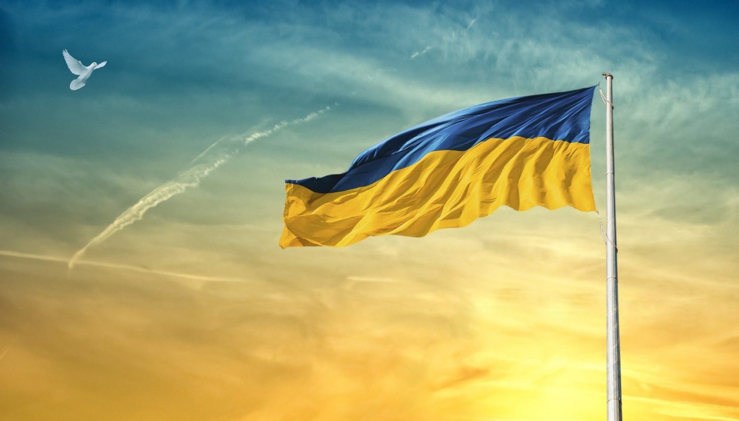 ukrainische Flagge und Friedenstaube